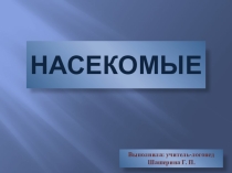 Насекомые (Старшая группа компенсирующей направленности).