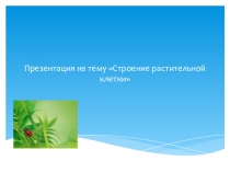Презентация по биологии  Растительная клетка