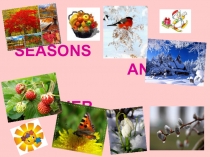 Презентация по английскому языку на тему: Времена года