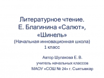 Презентация по литературному чтению Е. Благинина Салют, Шинель (1 класс)