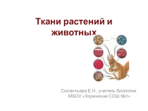 Презентация для подготовки к ОГЭ,ЕГЭ. Тема: Ткани растений и животных.