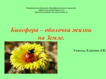 Презентация  Биосфера-оболочка жизни на Земле