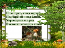 В царстве грибов (презентация)