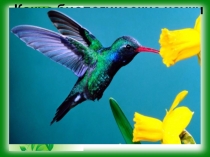 Презентация к уроку биологии в 5 классе (ФГОС) Условия, необходимые для жизни организмов