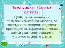 Урок химии 9 кл. Кислоты. Серная кислота
