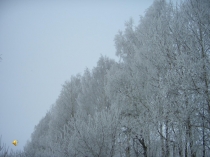 Презентация к конспекту урока по окружающеми миру Наш адрес - Россия