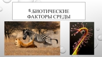 Презентация по экологии на тему Биотические факторы среды