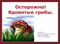 Презентация по окружающему миру на темуОсторожно! Ядовитые грибы.