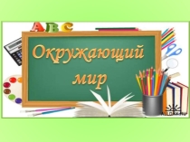 Презентация по окружающему миру 2 класс
