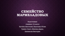 Презентация по литературе на тему  Семья Мармеладовых