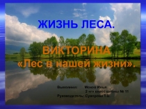 Презентация по окружающему миру Лес в нашей жизни