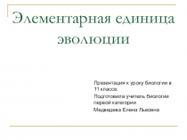 Презентация по биологии для 11 класса Элементарная единица эволюции