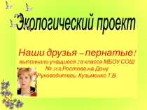 Презентация Экологический проект Наши друзья - пернатые