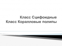 Класс Сцифоидные, класс Коралловые полипы