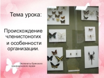 Тема урока:Происхождение членистоногих и особенности организации (7 класс)
