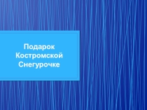 Презентация  Подарок Костромской Снегурочке