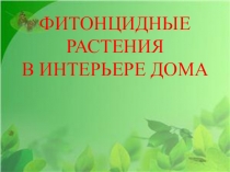 Презентация по технологии на тему: Комнатные растения в интерьере квартиры (6 класс)