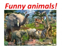 Презентация по английскому языку Animals 4 класс Спотлайт