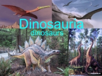 Урок по английскому языку : В естественноисторическом музее.