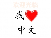 Презентация к открытому уроку по китайскому языку 我爱中文