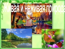 Презентация по окружающему миру для старшей группы