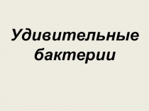 Разработка занятия Удивительные бактериипо внеурочной деятельности по курсу Занимательная биология (5 класс)
