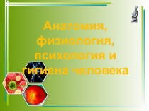 Презентация по биологии на тему Анатомия, физиология, психология и гигиена человека (8 класс)