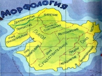 Презентация по русскому языку на тему Имя прилагательное