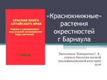 Презентация к урокам биологии и экологии Краснокнижные растения окрестностей Барнаула