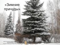 Зима