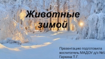 Презентация для подготовительной группы на тему: Животные зимой