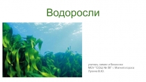 Презентация по биологии  Водоросли
