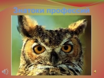 Презентация для внеклассного мероприятия по профориентации Знатоки профессий