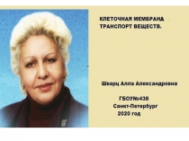 ПРЕЗЕНТАЦИЯ КЛЕТОЧНАЯ МЕМБРАНА ФУНКЦИИ, МЕХАНИЗМЫ ТРАНСПОРТА ВЕЩЕСТВ В КЛЕТКУ
