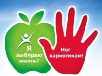 Презентация открытого урока Мифы о наркотиках