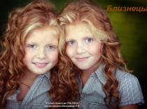 Презентация по биологии Близнецы