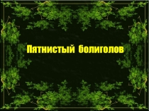 Презентация по окружающему миру Пятнистый болиголов