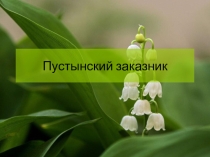 Презентация по окружающему миру Пустынский заказник