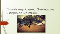 Презентация по крымоведению на тему Птичий мир Крыма