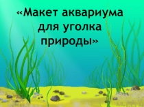 Презентация  Макет аквариума для уголка природы