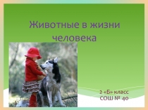 Презентация по окружающему миру на тему Животные в жизни человека (2 класс)