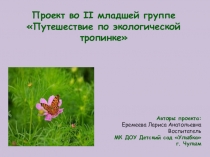 Экологический проект Путешествие по экологической тропинке