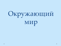 Презентация по окружающему миру к уроку У Черного моря