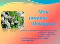 Проект Моя родная Шемурша