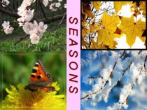 Презентация по теме Времена года