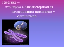 Презентация по биологии на тему Генетика пола (9 класс)