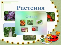 Презентация по русскому языку Картинный словарь