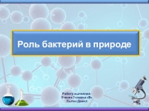 Значение бактерий в природе