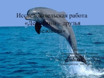 Презентация Исследовательская работа Дельфины и люди