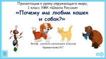 Почему мы любим кошек и собак.